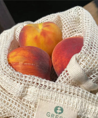 Sustainable Food Storage