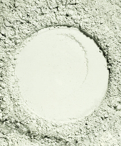 Plant Protein