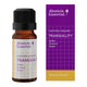 Absolute Essential Tranquility oil bottle and packaging on a white background.
