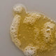 Close up of a swatch of Antipodes gospel vitamin c skin glow gel cleanser with yellow tone and bubbles. On a grey background.