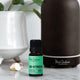 Black Chicken Remedies Essential Oil Blend De-Stress 9ml lifestyle shot of the small bottle in front of a dark diffuser and a white vase