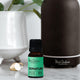 Black Chicken Remedies Essential Oil Blend Signature lifestyle shot of the small bottle in front of a dark diffuser and a white vase
