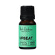 Black Chicken Remedies Essential Oil Blend Upbeat 9ml in an amber bottle with a black cap and a green label, front view on a plain white background