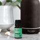 Black Chicken Remedies Essential Oil Blend Upbeat lifestyle shot of the small bottle in front of a dark diffuser and a white vase