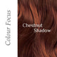 Chestnut Shadow hair colour swatch, medium warm brown.