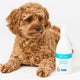 Brown dog sitting next to a bottle of Dr. Zoo Sensitive Shampoo on a white background