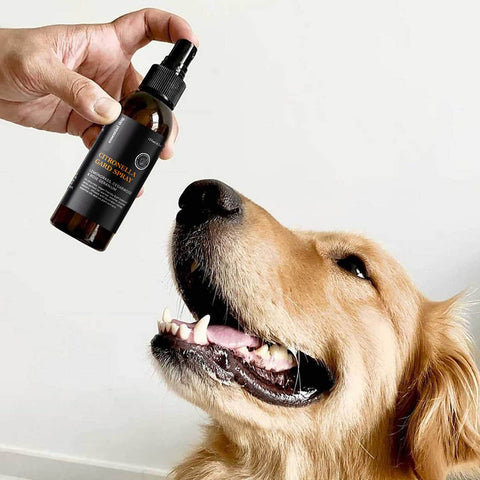 Essential Dog Citronella Guard Spray 125ml lifestyle shot of a hand holding the spray bottle near a smiling golden retriever, styled lifestyle photo