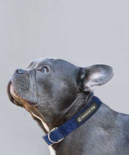Essential Dog