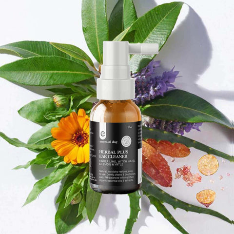 Essential Dog Herbal Ear Cleaner for Dogs 50ml lifestyle shot of the bottle among green leaves, an orange calendula flower and dried herbs