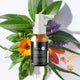 Essential Dog Herbal Ear Cleaner for Dogs 50ml lifestyle shot of the bottle among green leaves, an orange calendula flower and dried herbs