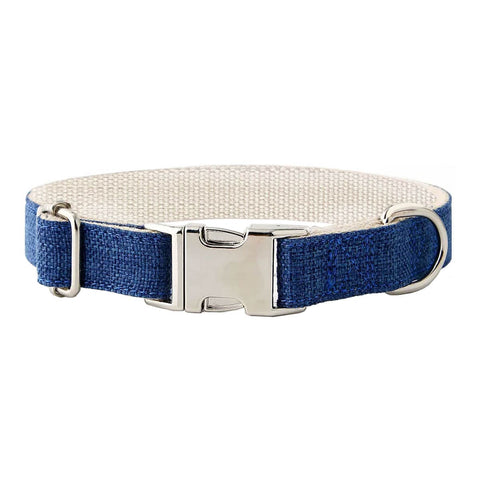 Blue dog collar with a silver buckle on a white background.