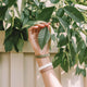 Hand holding a leaf with a neutral background