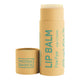 Noosa Basics Organic Lip Balm Paw Paw 15g in a kraft brown cardboard tube with its cap lying beside it on a plain white background