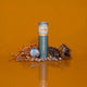 Ode Cordyceps mushroom supplement tube on an orange background with mushrooms & honeycomb.
