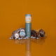 Ode Shiitake mushroom supplement tube on an orange background with mushrooms & honeycomb.