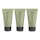 Three green tubes of Sanctum body care products on a white background.