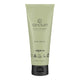 Sanctum body lotion tube on a white background.