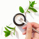 Hand scooping Solid Toothpaste Fresh Mint with Fluoride from a jar, surrounded by mint on a white background