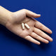 Theronomic Tribiotic Gut Shield capsules in hand, pre, pro, and postbiotic supplement.
