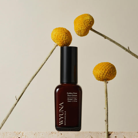Wyuna Botanicals Golden Gem Face Cream 50ml lifestyle shot of the dark bottle among yellow billy button flowers on stems, styled lifestyle photo
